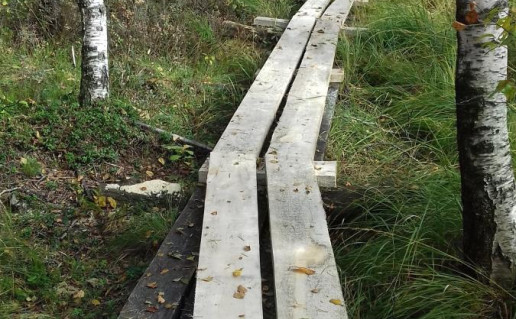 19_parsezerio takas (2).jpg